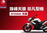 非凡定格：珠峰天狼ZF250GS