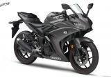 雅马哈2016 YZF-R3、R25本土版