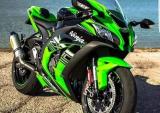 人气公升牛头梗 川崎ZX-10R