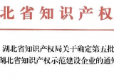 湖北猛狮新能源被评为“湖北省知识产权示范建设企业”