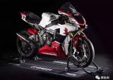 2019雅马哈YZF R1 GYTR限量款