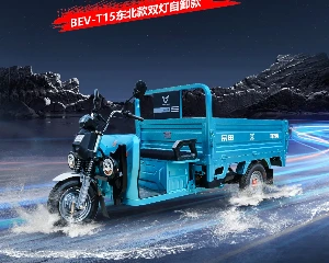 宗申BEV-T15跨越山海，为东北而生！