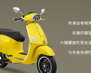 Vespa Sprint 150, 自「载」Passion